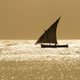 Dhow at Pemba, Tanzania