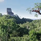 Tikal, Guatemala